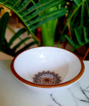 Single Special Melamine 4 inch bowl