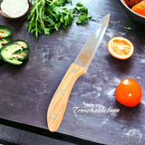 Stainless Steel single knife
