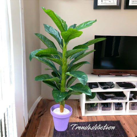 Realistic Banana Plant