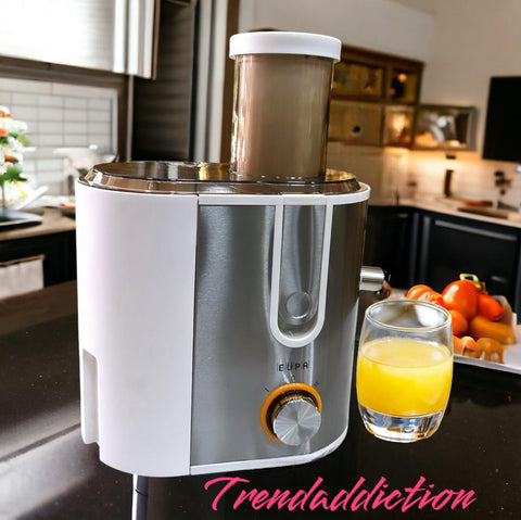 Stainless steel juicer