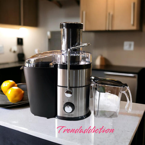 Stainless steel juicer