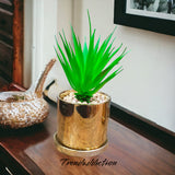 Table Planter With Golden Round Tray