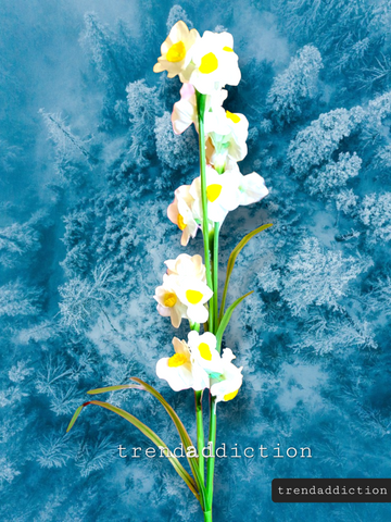 Daffodil stem