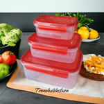 Set of 3 Food Containers